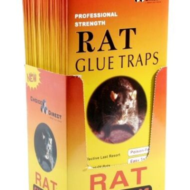 Rat Glue Traps