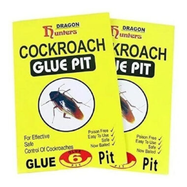 COCKROACH- GLUE PIT