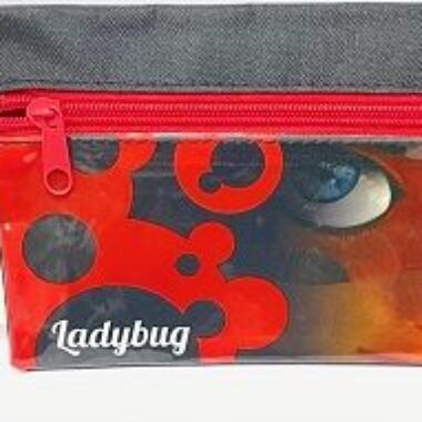 LADYBUG PURSE/ PENCIL CASE