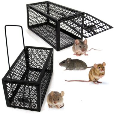 Mouse Trap Cage